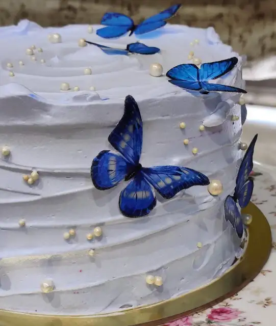 Butterfly Celebration Cake